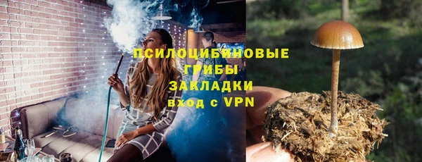 ешки Арсеньев
