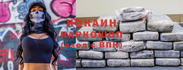 ешки Арсеньев