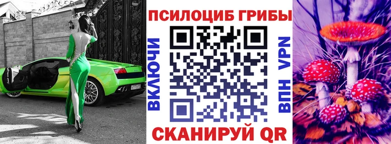 кракен зеркало  Тейково  Псилоцибиновые грибы Magic Shrooms 