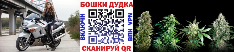 Бошки марихуана ГИДРОПОН Тейково